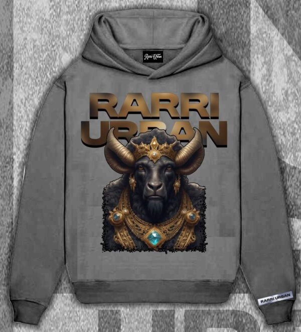 Rarri Winter Hoddie